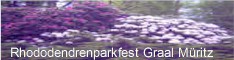 Hinweis-Link zu mehr Information zum Rhododendrenparkfest in Graal-Müritz