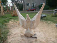 adler_2013-25.JPG (162473 Byte) Ein Seeadler - Kunst von Siegfried Kmmel