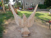 adler_2013-35.JPG (172140 Byte) Ein Seeadler - Kunst von Siegfried Kmmel