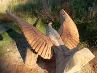 adler_2013-37.JPG (185118 Byte) Ein Seeadler - Kunst von Siegfried Kmmel