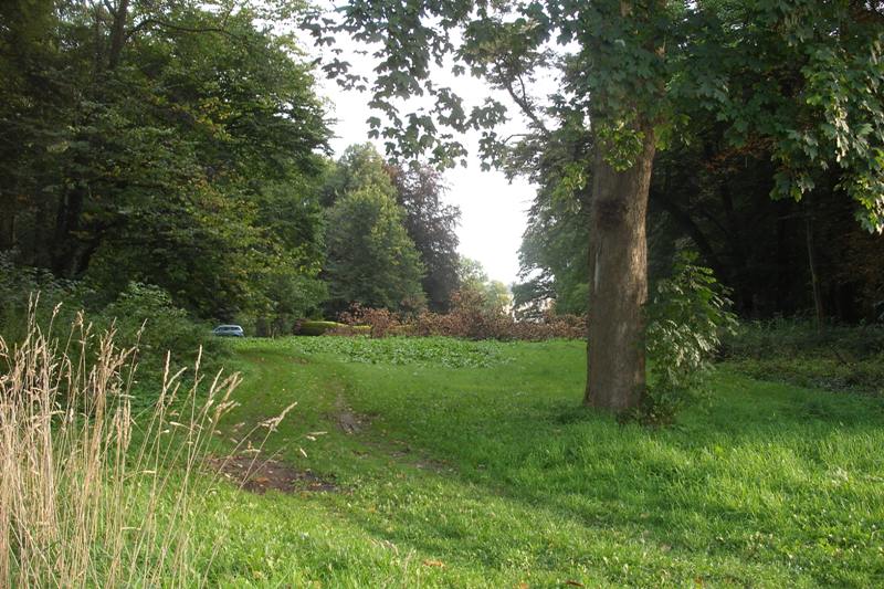 klick auf das Bild und geht zurck zur Ausgangsseite - Eiche aus dem Schlosspark von Semlow