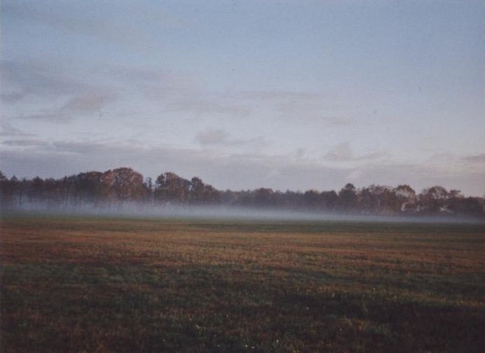 Nebelschwaden in der Frühe - Bild von Siegfried Kümmel