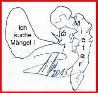 Ostseegeschichten - Ich suche Mngel - Bild von Siegfried Kmmel