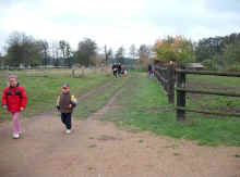 marathon-dierhagen-2008-56