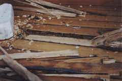 mona-lisa-in-zingst-zustand05-1999 001.jpg (125085 Byte)