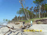 Weststrand - Ostsee bei Ahrenshoop - Bild von Siegfried Kmmel