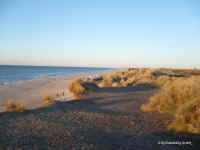 Badestrand auf der Insel Sylt -  Bild von Sylt Marketing GmbH