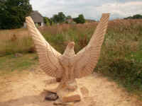 Kunstwerk aus Eichenholz - Seeadler  - Bilder von Siegfried Kümmel