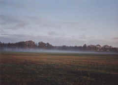 Stimmung im Herbst  - Bild von Siegfried Kümmel - Ostsee