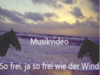 So frei, ja so frei wie der Wind