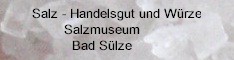 Hinweis-Link zu den Websites des Salzmuseum in Bad Sülze