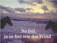 So frei, ja so frei wie der Wind